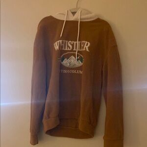 Brown and White Crewneck Sweater